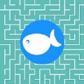 迷宫和鱼(maze fish)
