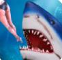 鲨鱼模拟器2020(Shark Sim 2019)