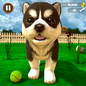 虚拟狗狗模拟器(Virtual Puppy Simulator)