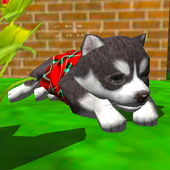 小狗养成模拟器3D(Cute Pocket Puppy 3D)