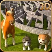 神奇宠物迷宫模拟器(Amazing Pets Maze Simulator)