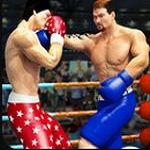 拳击明星赛(Tag Boxing)