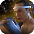 泰拳2格斗冲突(Muay Thai - Fighting Clash)