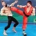 出色的跆拳道(Karate Street Fight)